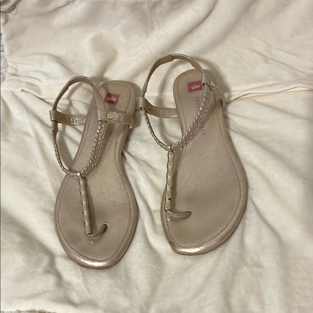 This Elegant Beige Sandals                Elaine Turner